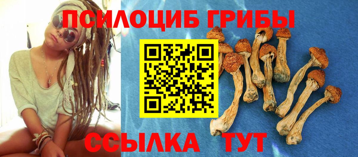 Бахчисарай  Галлюциногенные грибы GOLDEN TEACHER  Галлюциногенные грибы ЛСД  Вход с VPN 